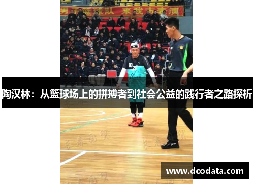 陶汉林：从篮球场上的拼搏者到社会公益的践行者之路探析